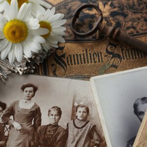 Build Your Family Tree: 5 Hours of Professional Genealogy Work